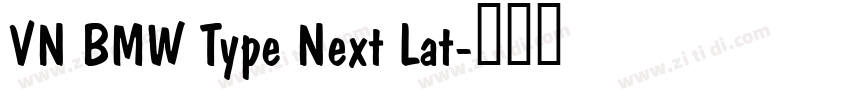 VN BMW Type Next Lat字体转换